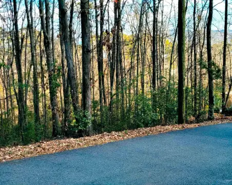 Land For Sale Guntersville, AL