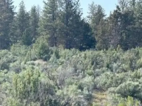Residential Lots in Beatty, Oregon