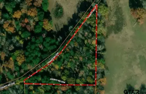 Omaha, TX Wooded Acreage