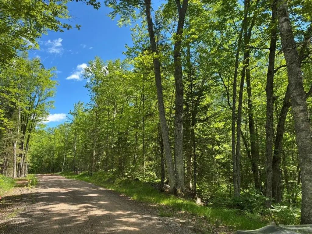 Picture 19