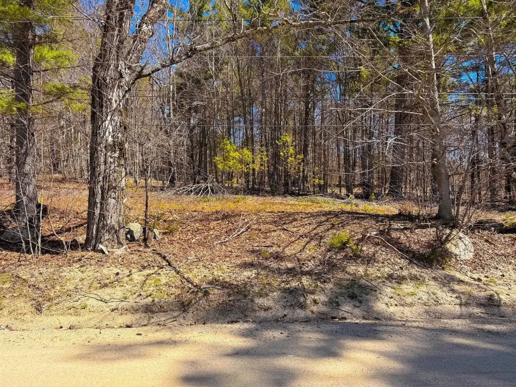 Picture 27