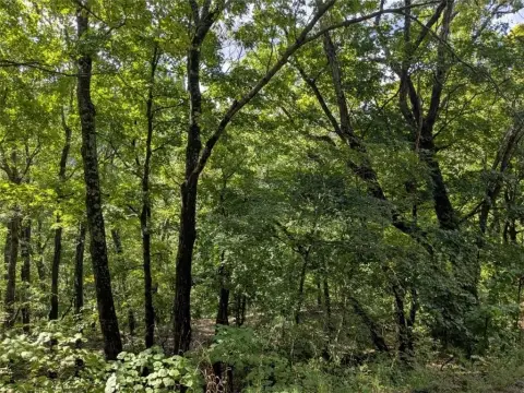 Holiday Island Land Near Golf