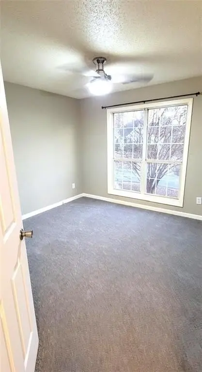 Picture 29