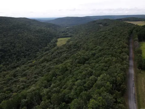 Clinton Acreage with Timber