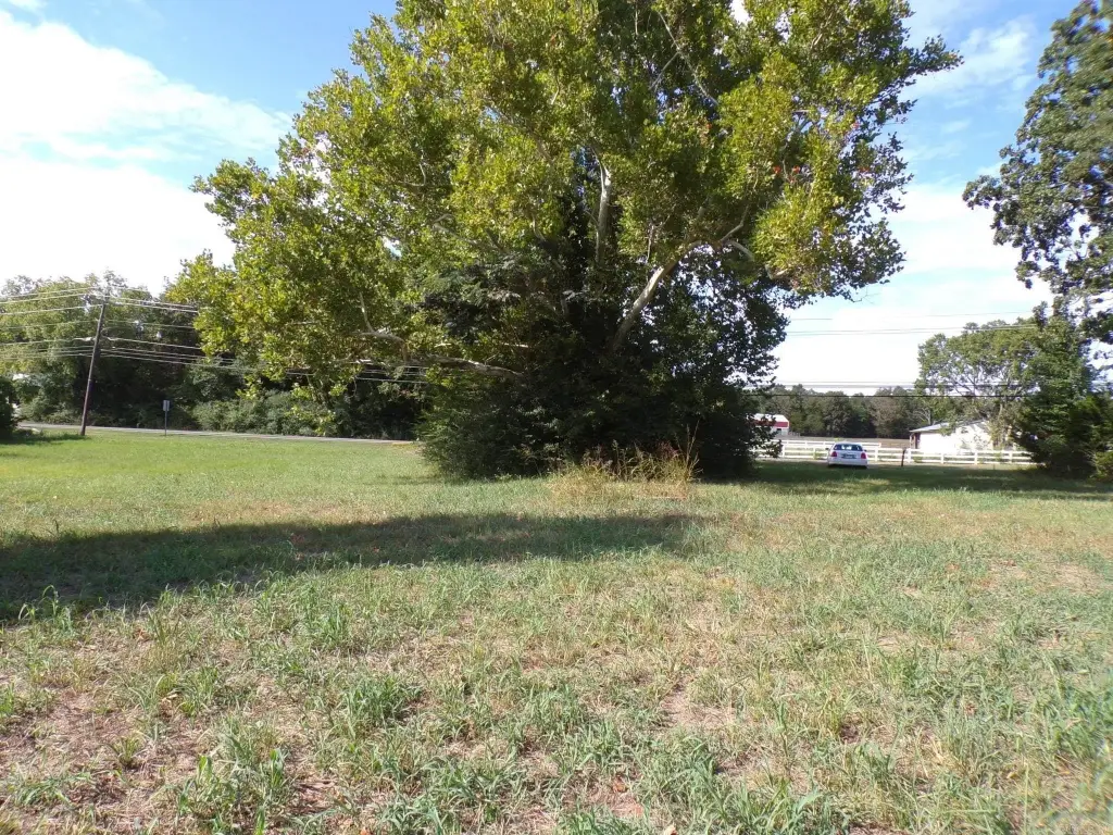 Picture 8