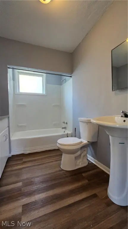 Picture 19