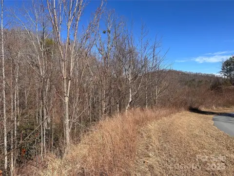 Lake Lure Wooded 4-Acre Lot