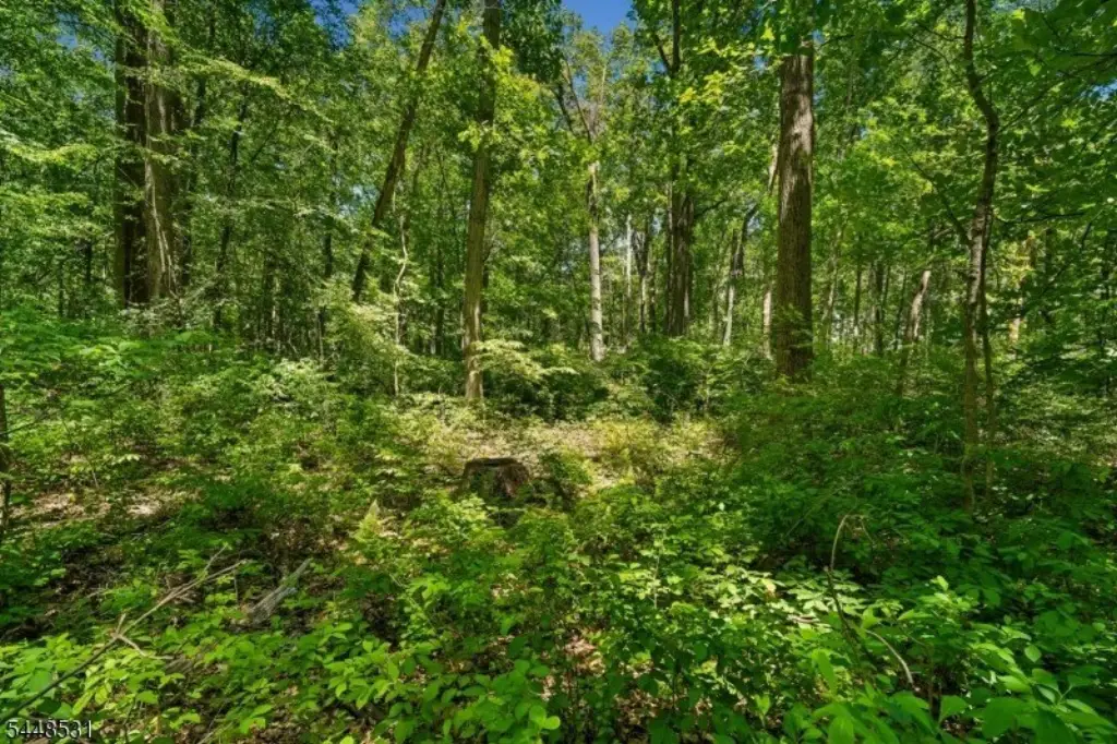Picture 8