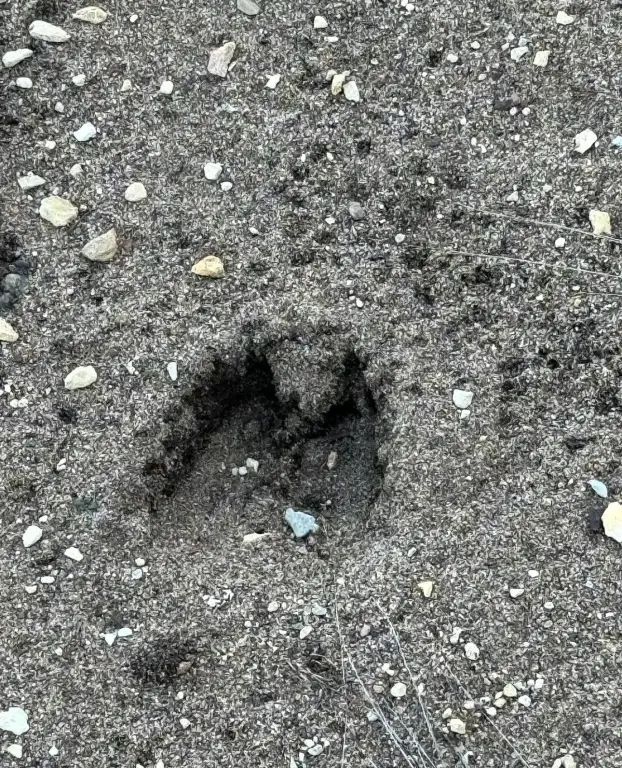 Picture 4