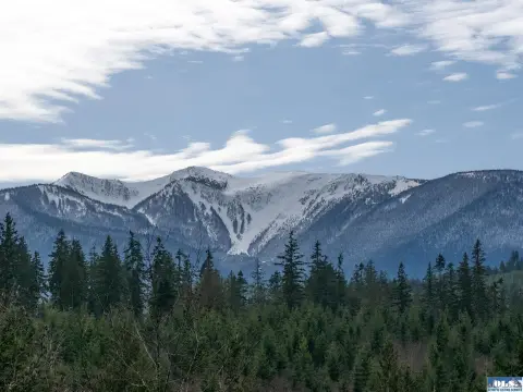 40 Acres Raw Land Sanctuary