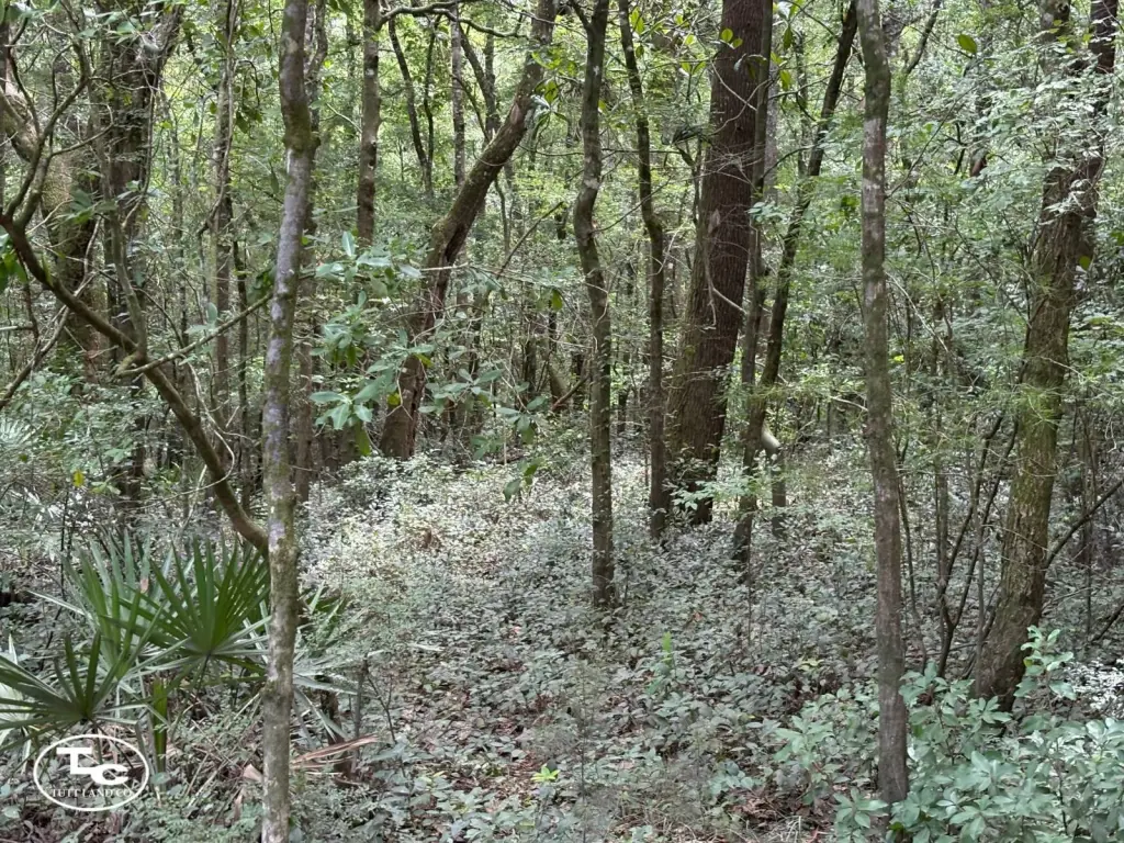 Picture 30