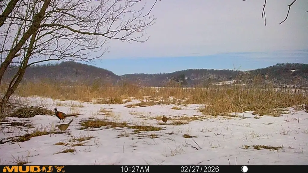 Picture 91