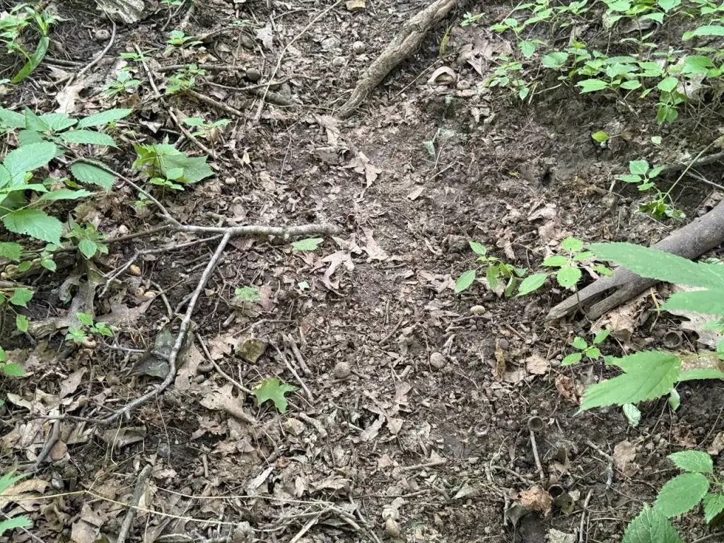 Picture 43