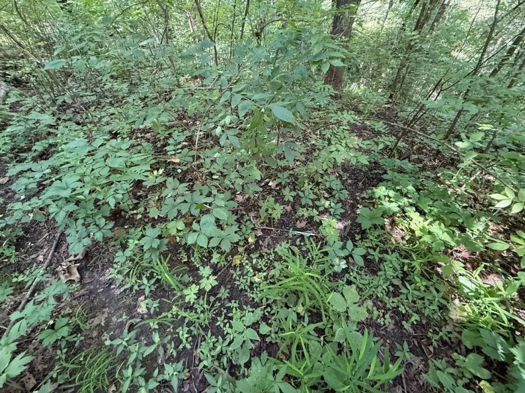 Picture 53