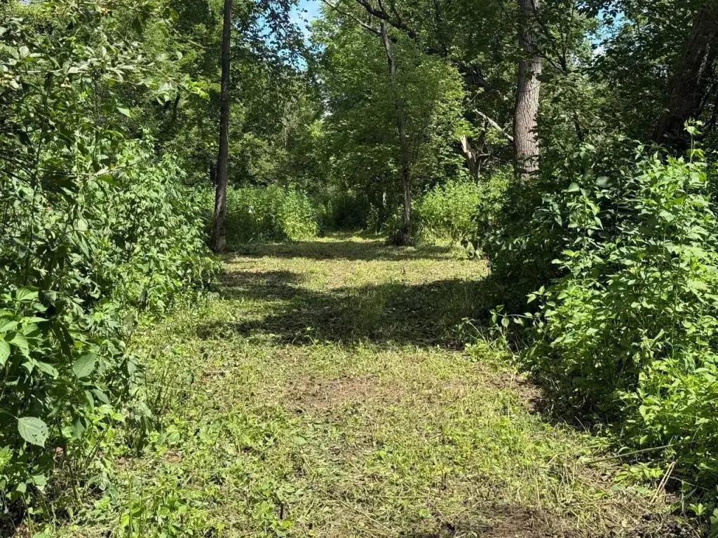 Picture 30