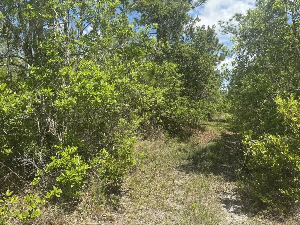 Picture 2