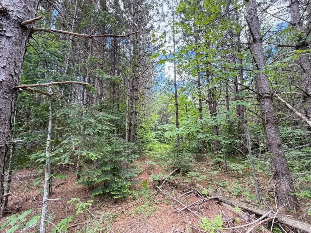 Picture 23
