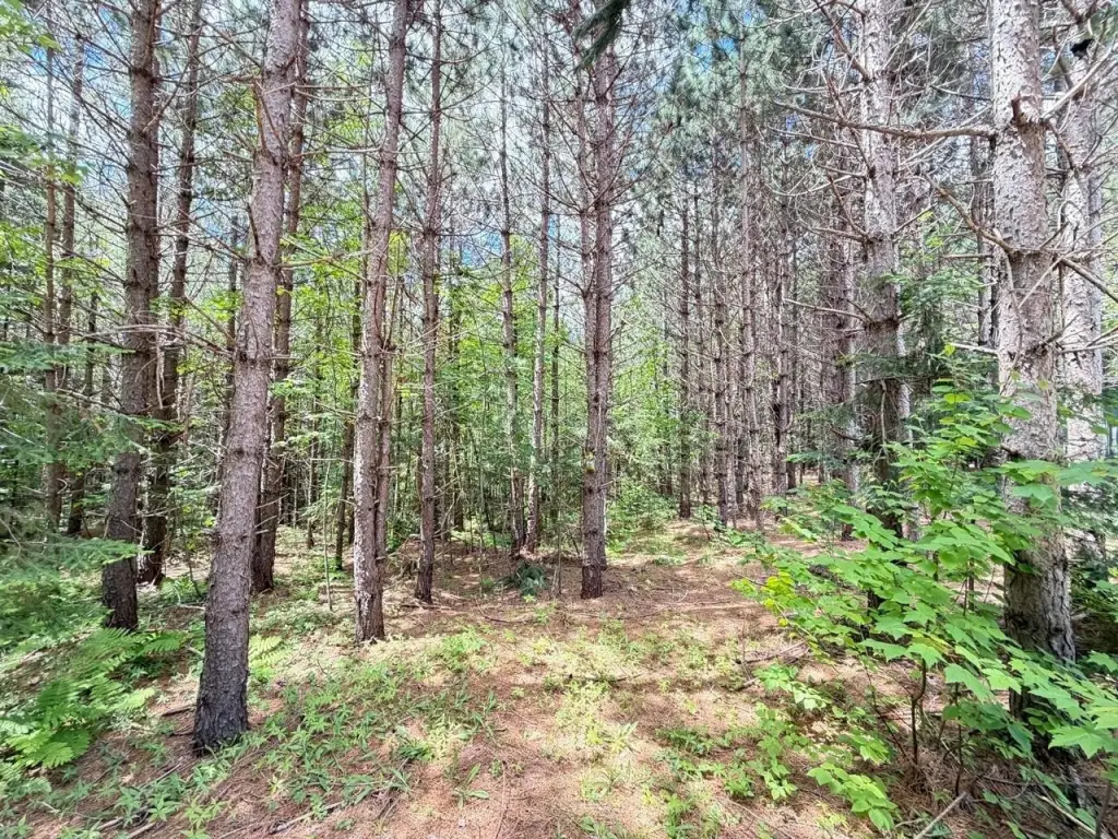 Picture 21