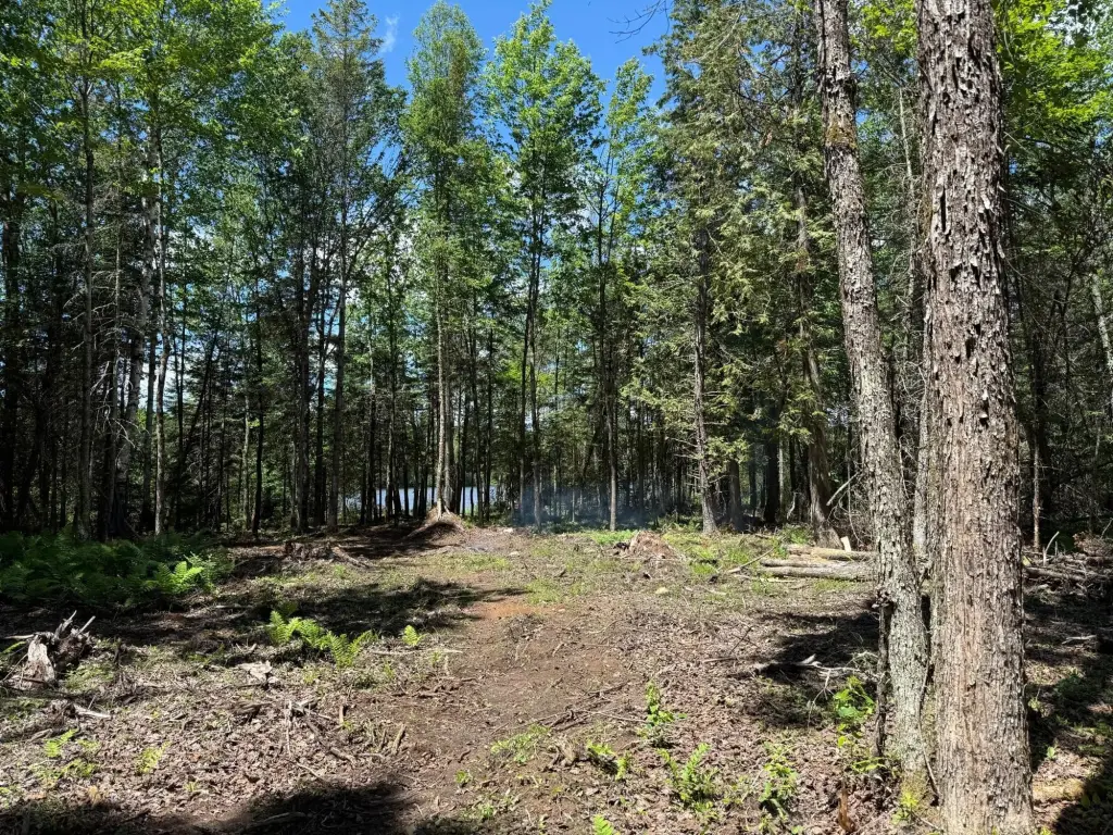 Picture 18
