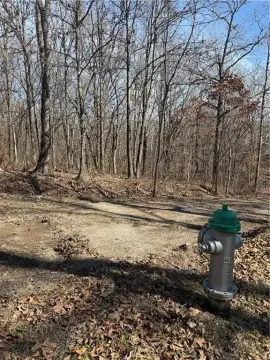 Wooded Lot in Bella Vista