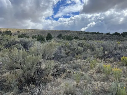 210 Acres of Nevada Land