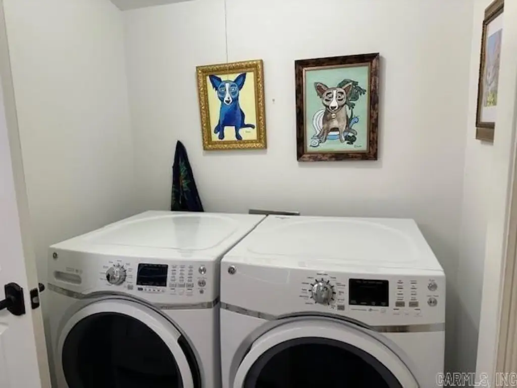 Picture 19