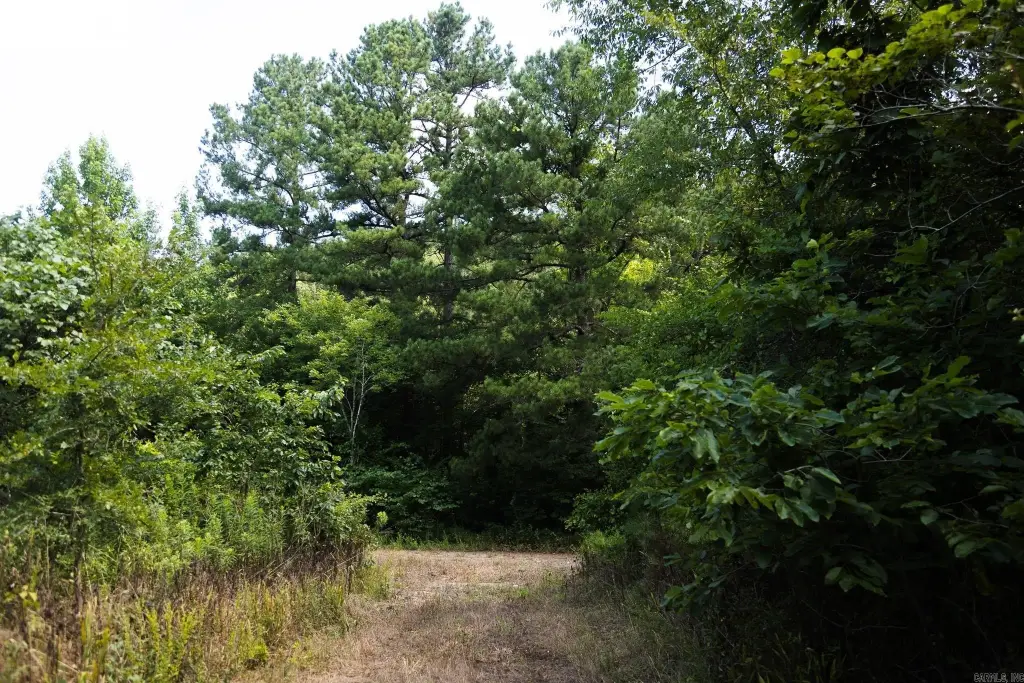 Picture 13