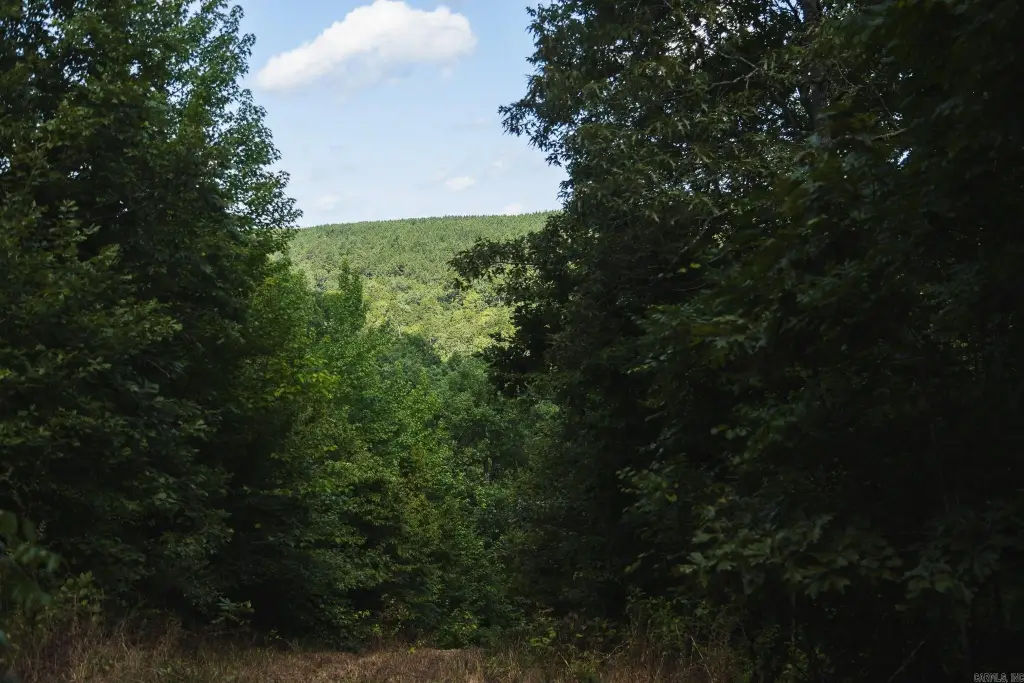 Picture 21