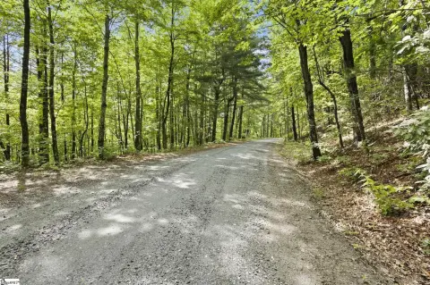 Residential Lot in Saluda, NC