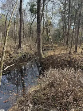 14 Acres Rural Retreat, Saluda