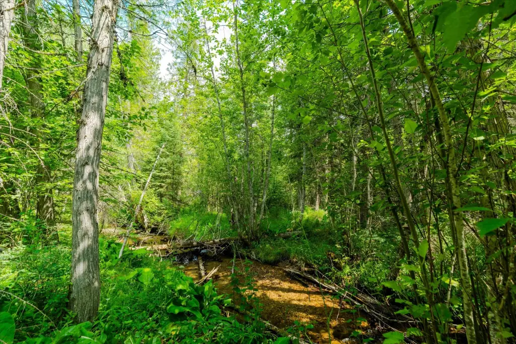 Picture 29
