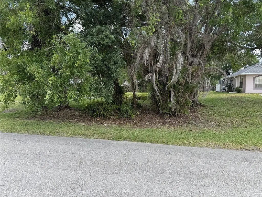 Picture 5