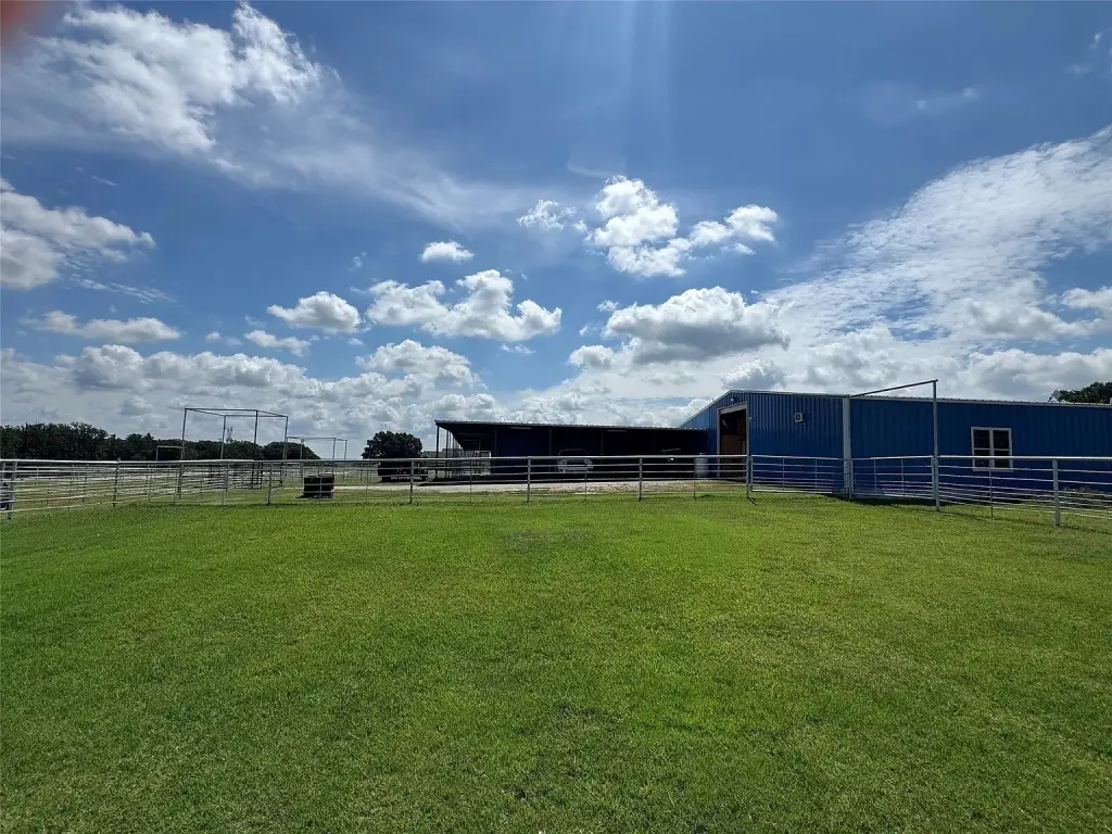 Picture 20