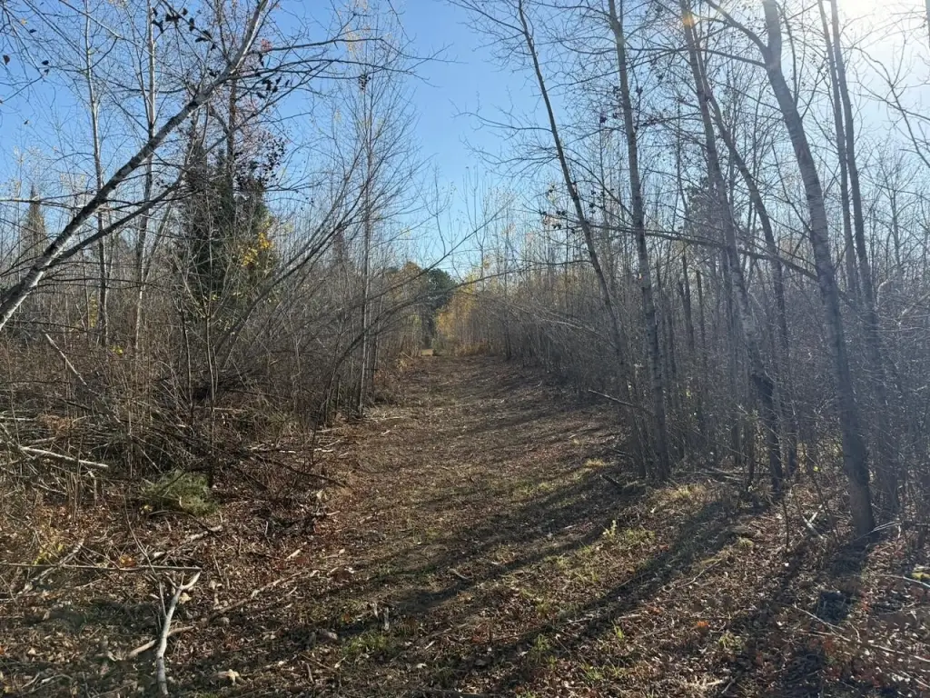 Picture 19