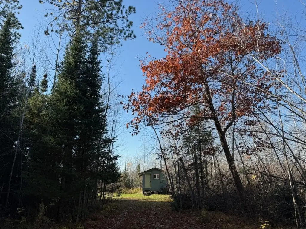 Picture 17