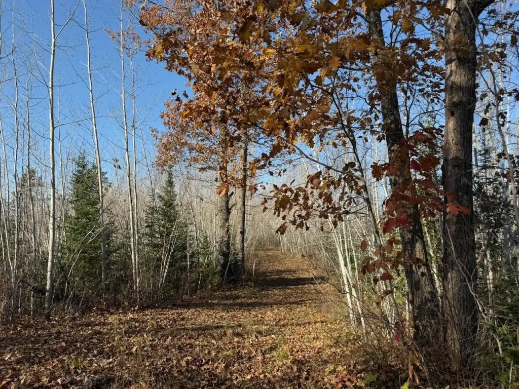 Picture 15
