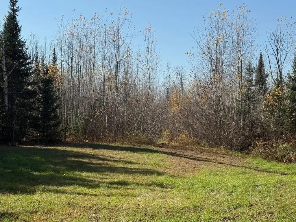 Picture 38