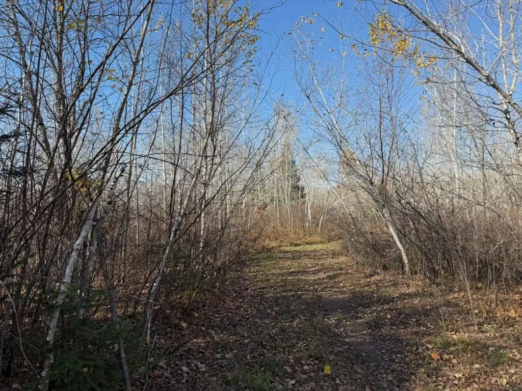 Picture 24