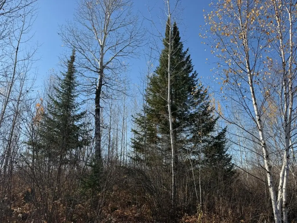 Picture 23