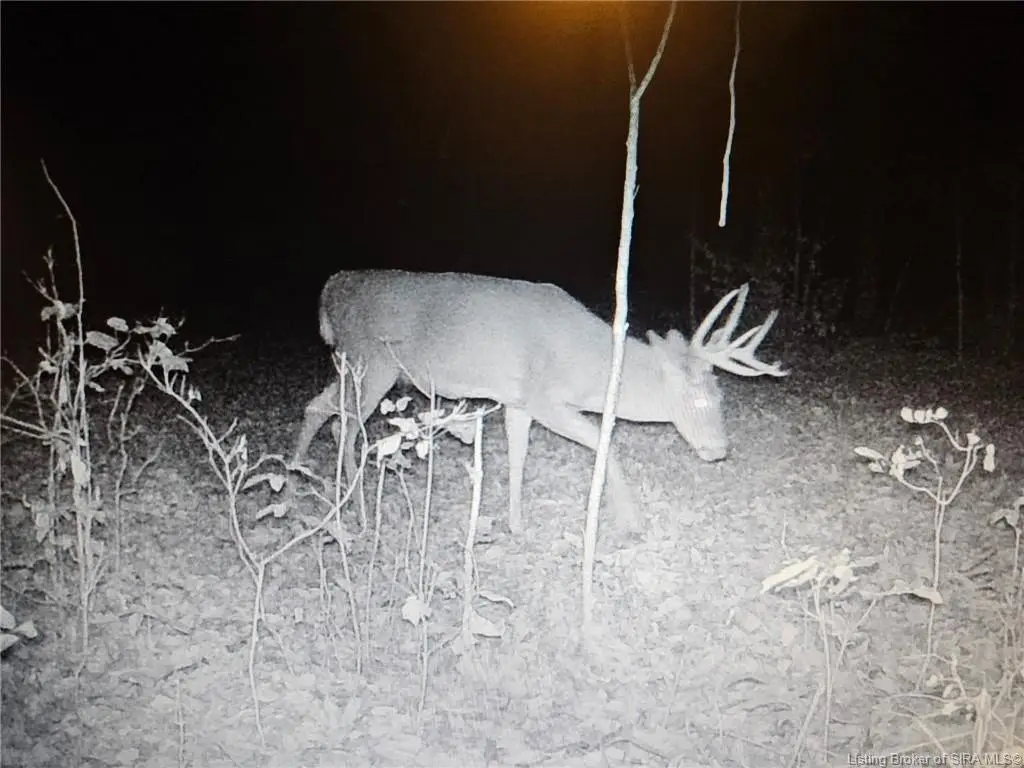 Picture 14