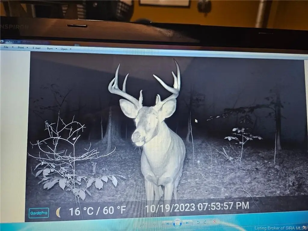 Picture 15