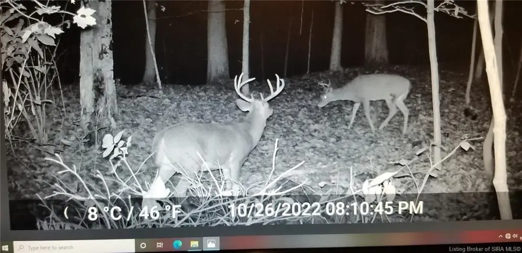 Picture 12
