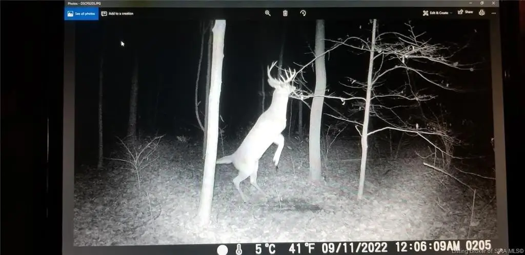 Picture 13