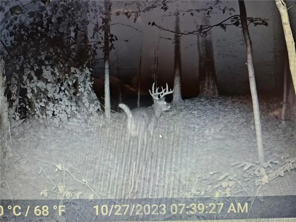 Picture 16
