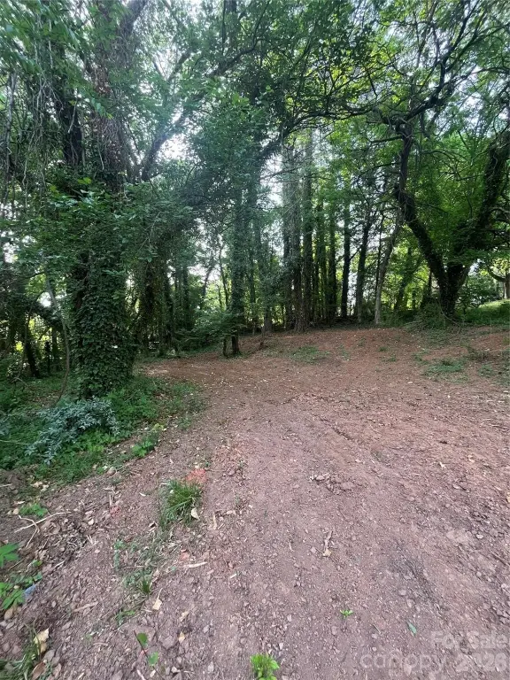 Picture 3