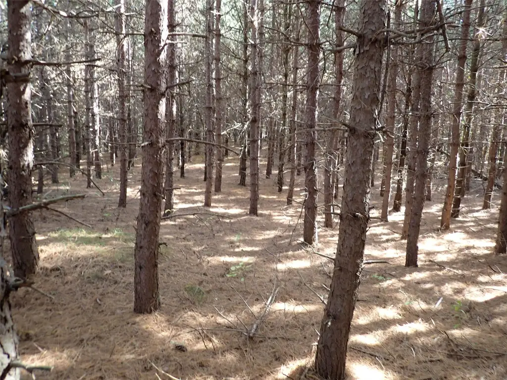 Picture 6