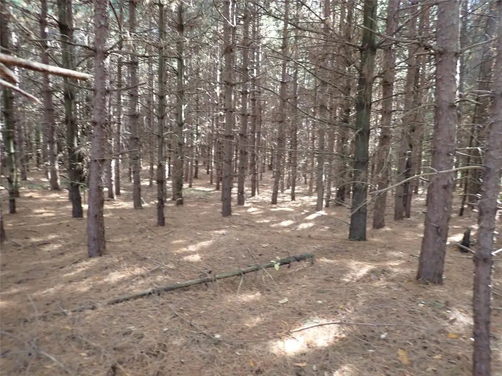 Picture 7