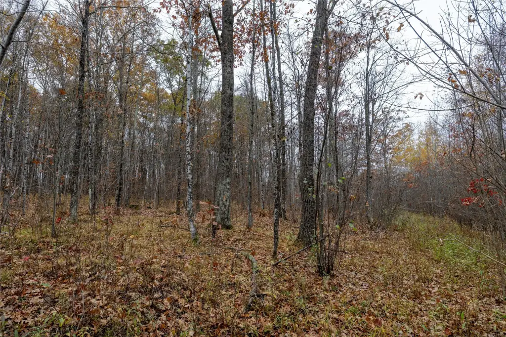 Picture 24