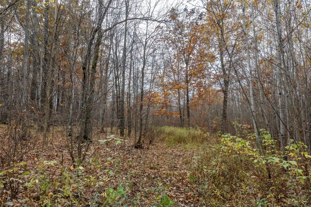 Picture 28