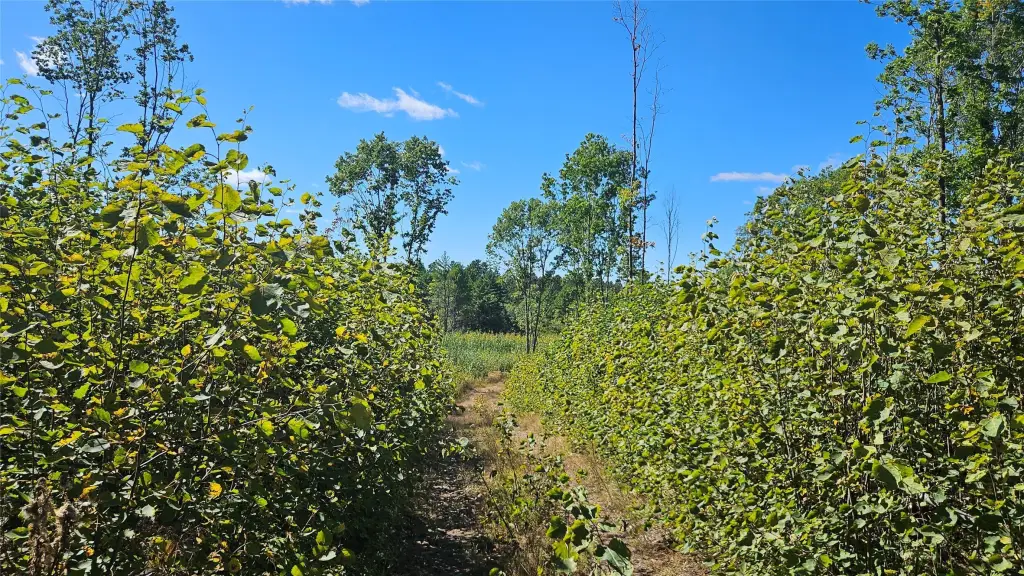 Picture 35
